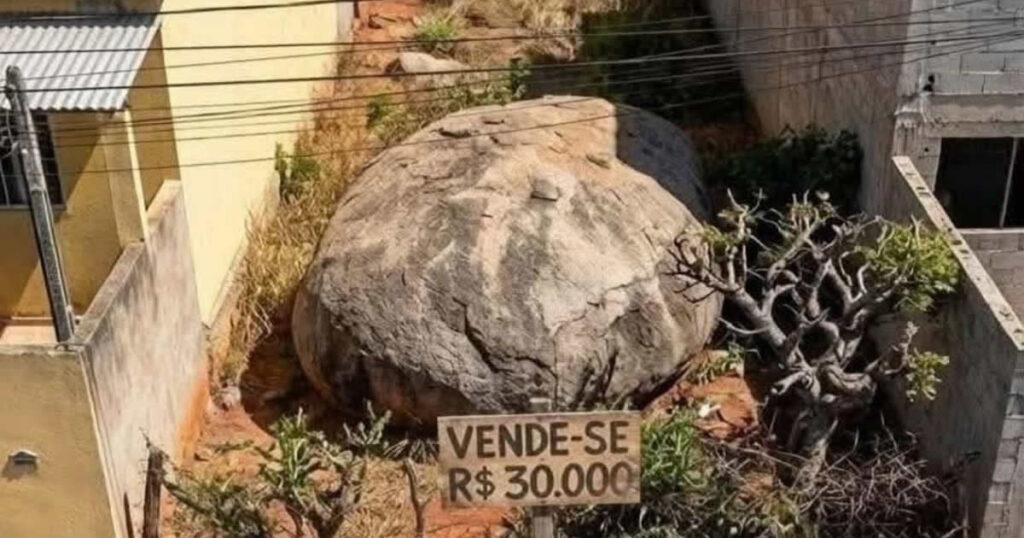 Quando o terreno vem com pedra inclusa e a coragem vale mais que o metro quadrado
