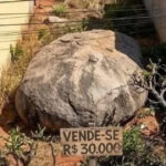 Quando o terreno vem com pedra inclusa e a coragem vale mais que o metro quadrado