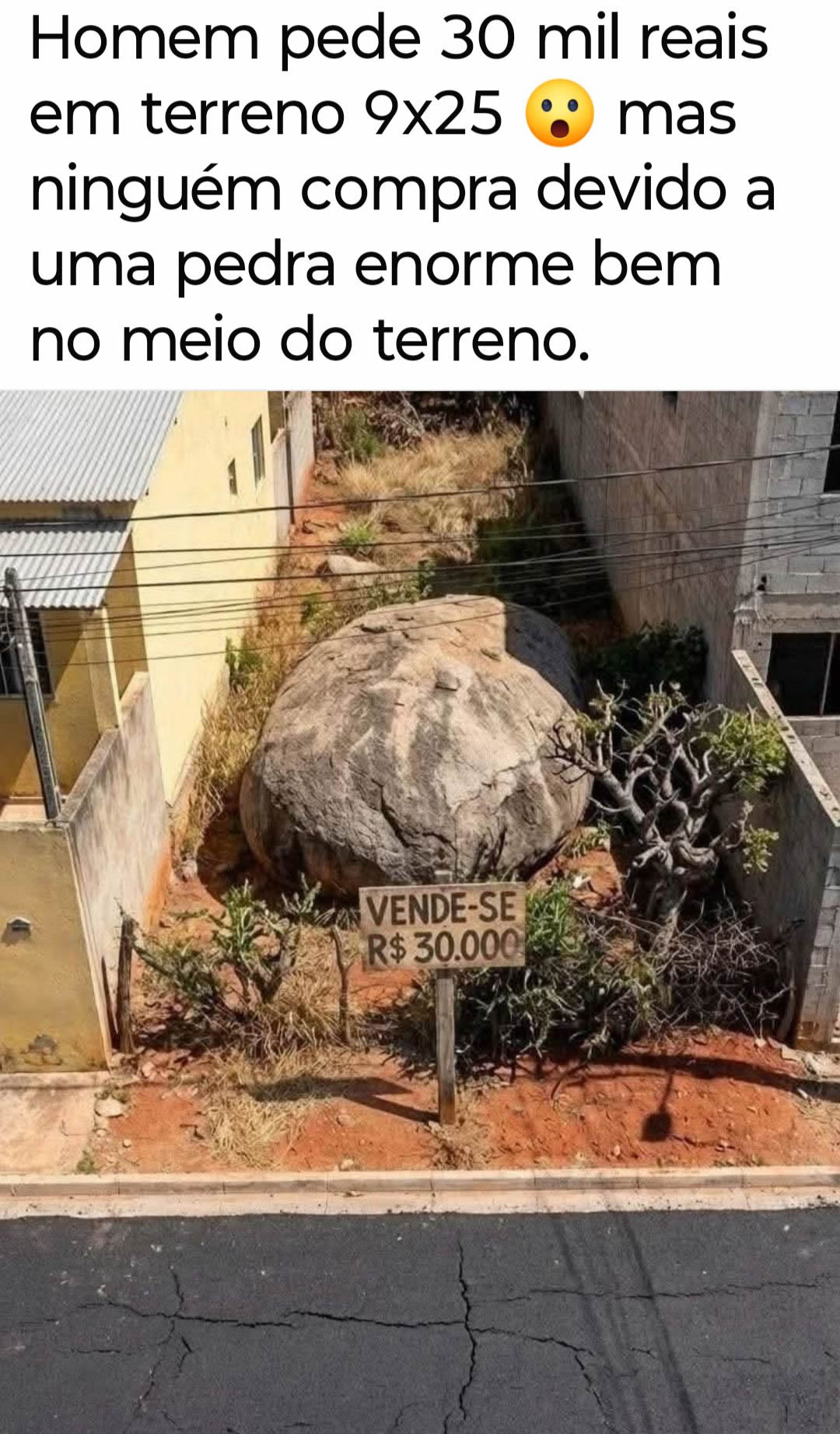 Quando o terreno vem com pedra inclusa e a coragem vale mais que o metro quadrado