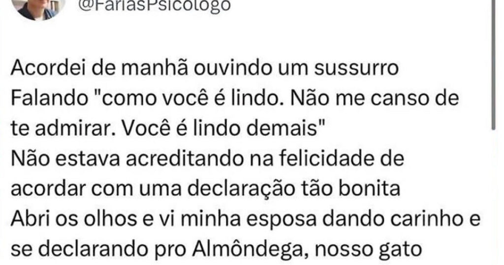 O dia em que o marido descobriu que estava perdendo pro gato no próprio casamento