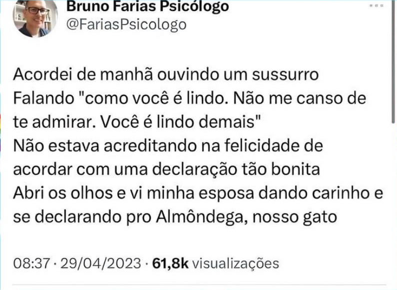 O dia em que o marido descobriu que estava perdendo pro gato no próprio casamento O dia em que o marido descobriu que estava perdendo pro gato no próprio casamento