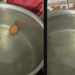 O ovo mais paciente do mundo esperando um milagre que nunca veio