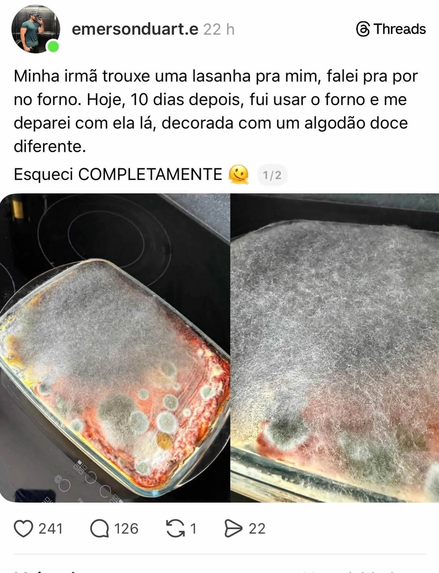 Lasanha esquecida vira startup de fungos e já está pronta para abrir CNPJ Lasanha esquecida vira startup de fungos e já está pronta para abrir CNPJ