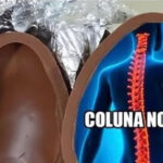 Quando a criatividade brasileira tenta resolver tudo no improviso e quase dá certo