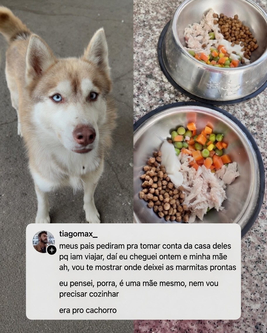 Quando você descobre que o cachorro da casa come melhor do que você