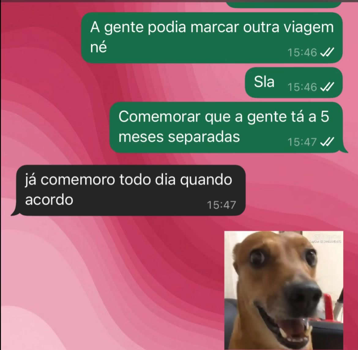 A mensagem de término mais brutal da internet deixou até o cachorro em choque