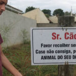 A placa que humilhou os donos de cachorro e colocou o ser humano abaixo do vira-lata