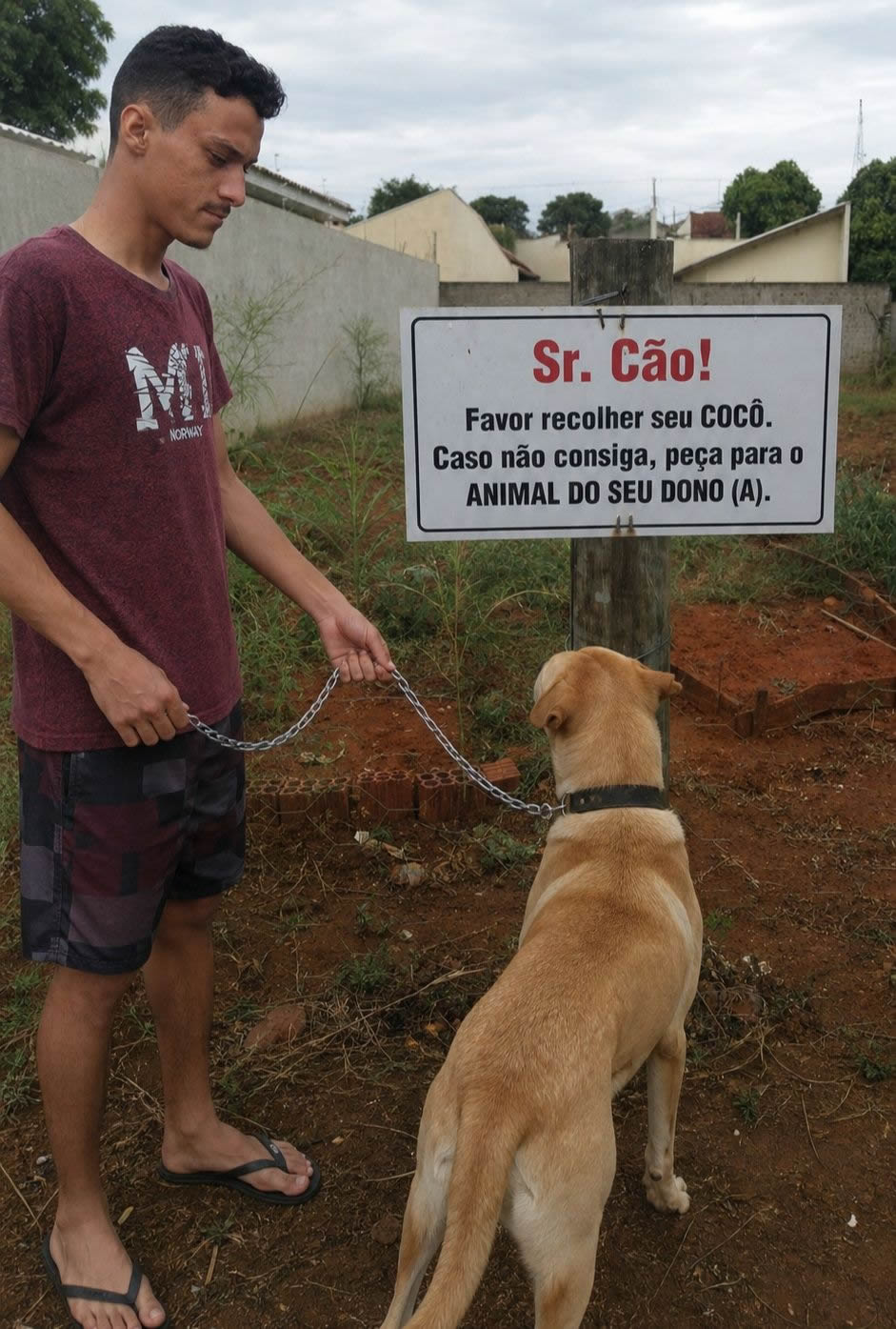 A placa que humilhou os donos de cachorro e colocou o ser humano abaixo do vira-lata