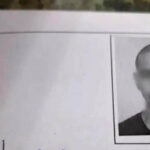 Aluno responde “sem experiência” no campo... e cria o formulário mais sincero do Brasil