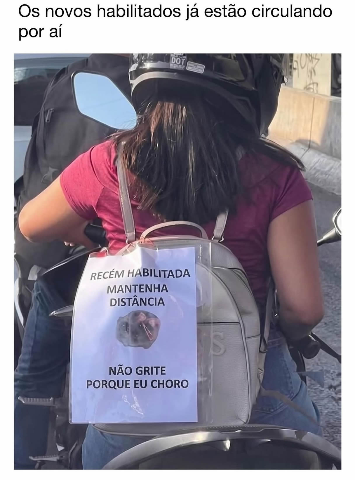 Recém-habilitada cria placa sincerona no trânsito e representa milhões de brasileiros traumatizados