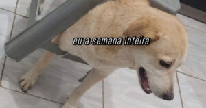 A incrível habilidade de transformar 5 minutos em uma semana