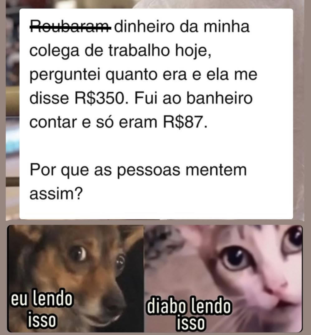 A ladra ficou indignada ao descobrir que a vítima exagerou no prejuízo