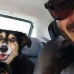 Ele encontrou o cachorro perdido e acabou ganhando dois iguais