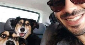 Ele encontrou o cachorro perdido e acabou ganhando dois iguais