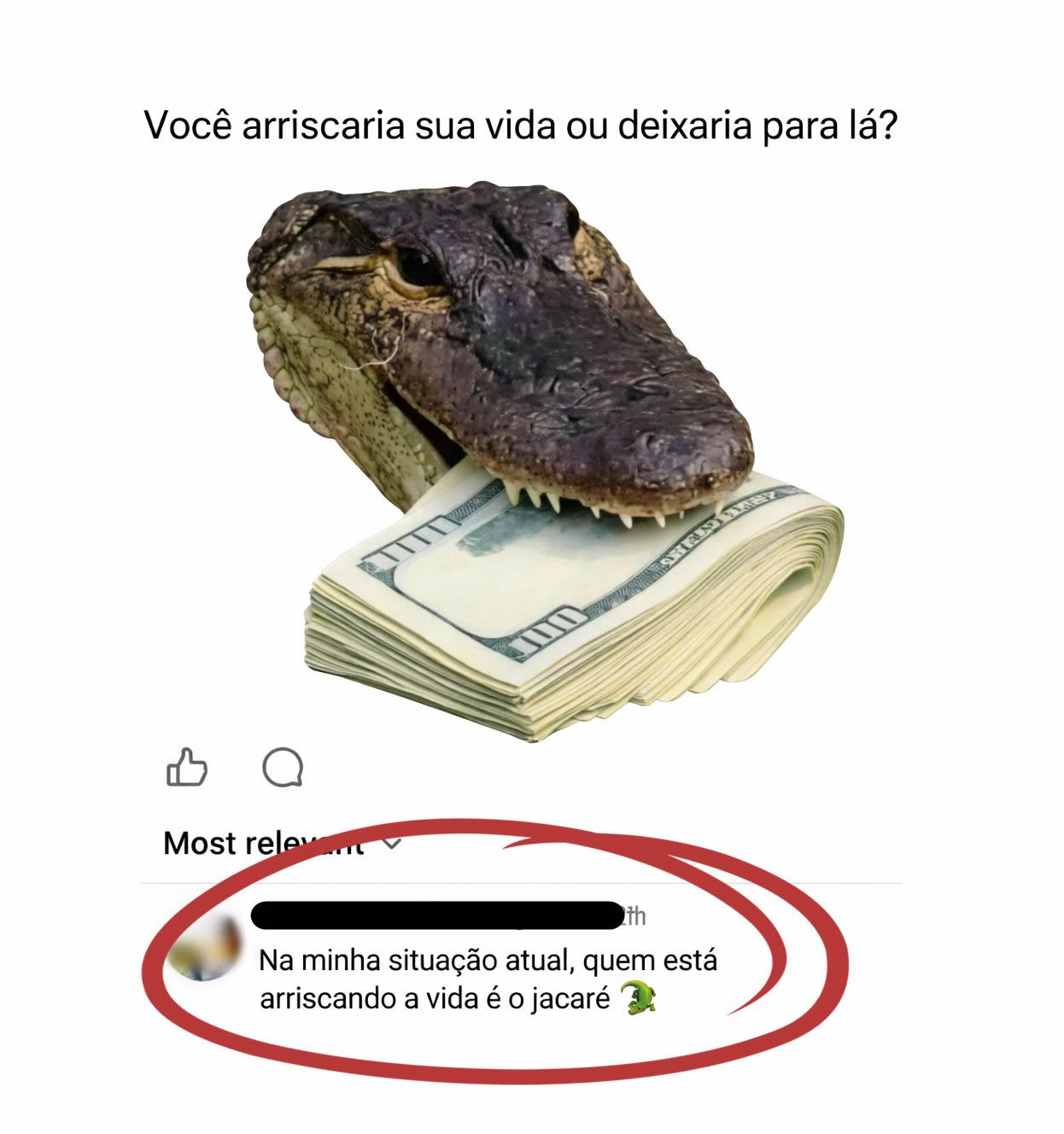 O dia em que o jacaré descobriu que o verdadeiro perigo era o boleto atrasado