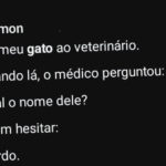 O gato que transformou um apelido em prova científica
