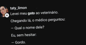 O gato que transformou um apelido em prova científica