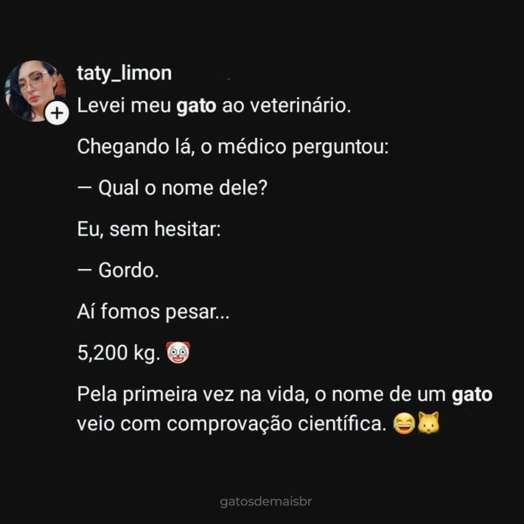 O gato que transformou um apelido em prova científica