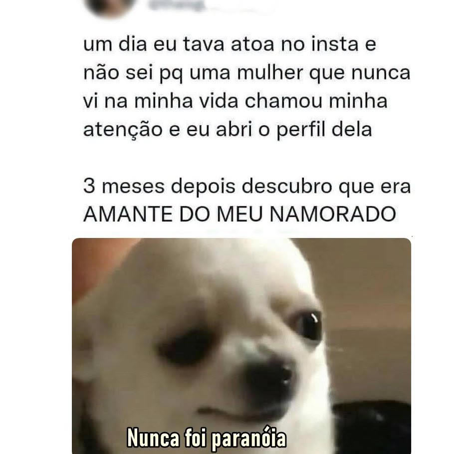 Quando a paranoia descobre a verdade antes de todo mundo