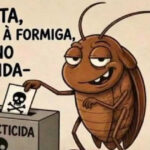 Quando o plano era derrotar o inimigo e o resultado foi derrotar a vizinhança inteira