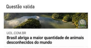 A pergunta mais brasileira da internet conseguiu bugar a lógica de todo mundo