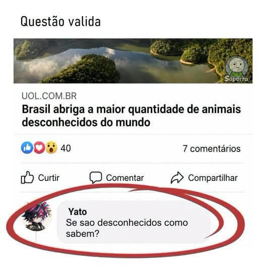 A pergunta mais brasileira da internet conseguiu bugar a lógica de todo mundo