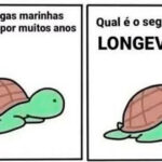 O segredo da longevidade das tartarugas pode ser mais engraçado do que você imagina