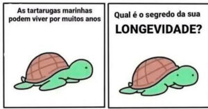 O segredo da longevidade das tartarugas pode ser mais engraçado do que você imagina