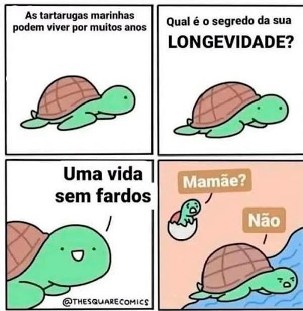O segredo da longevidade das tartarugas pode ser mais engraçado do que você imagina