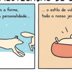 O dia em que os gatos convenceram os humanos de que mandam em tudo