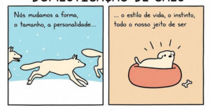 O dia em que os gatos convenceram os humanos de que mandam em tudo