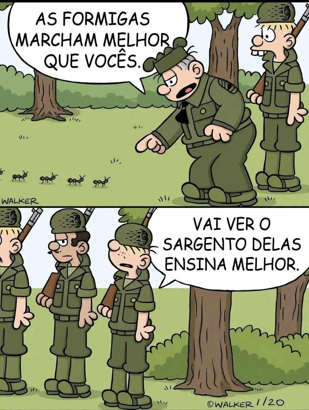 A comparação com as formigas que humilhou o treinamento militar
