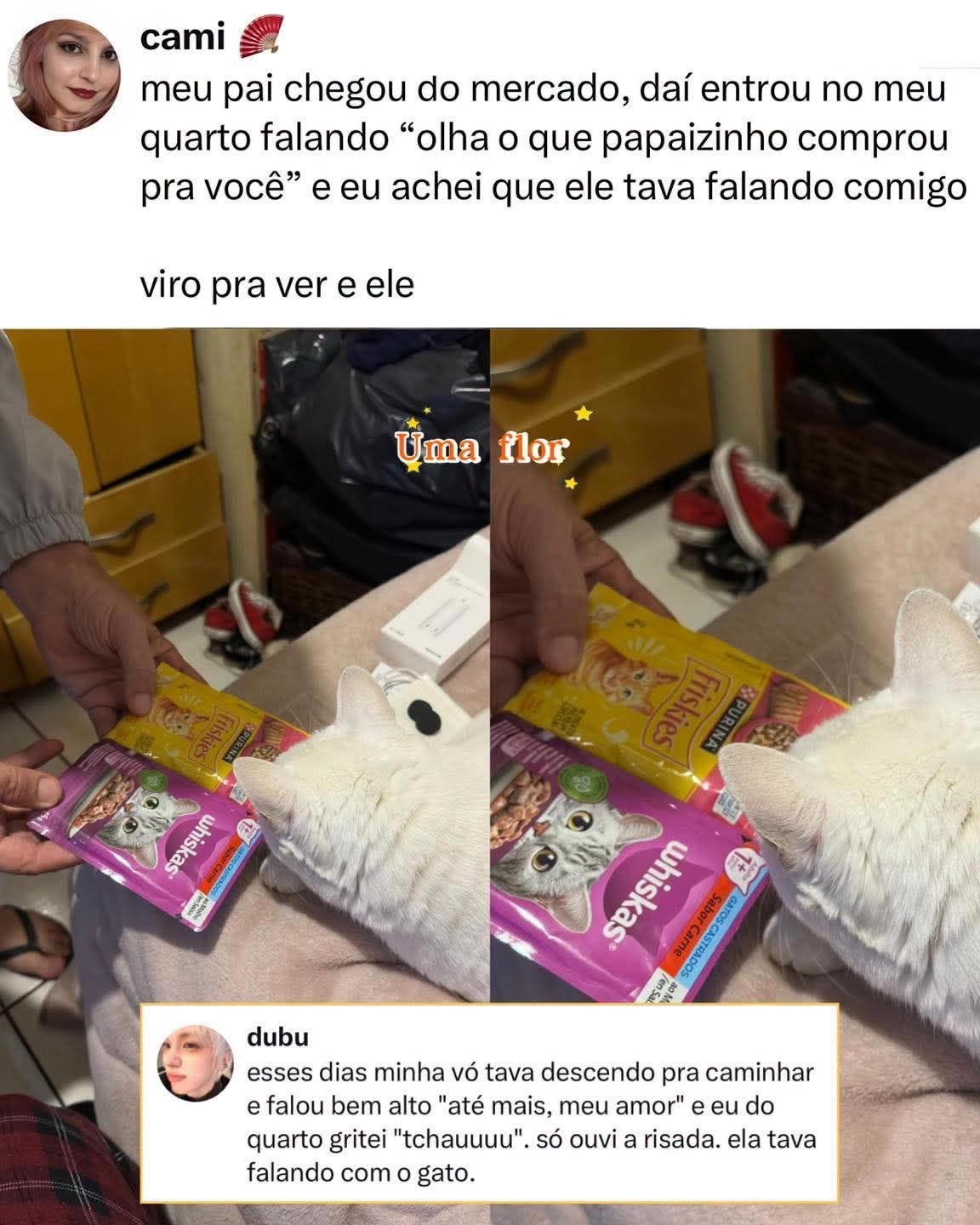 O dia em que a filha descobriu que o verdadeiro filho favorito era o gato