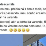O sonho era receber uma arara na varanda, mas a natureza mandou um urubu