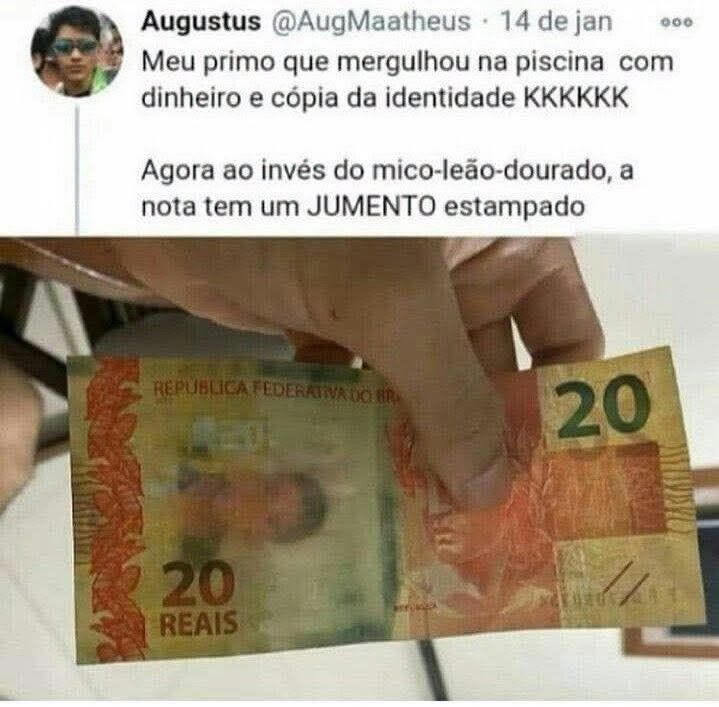 A nota falsa de R$ 20 que ganhou um animal impossível e virou piada na internet