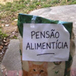 O gato do vizinho engravidou minha gata e agora tem pensão alimentícia